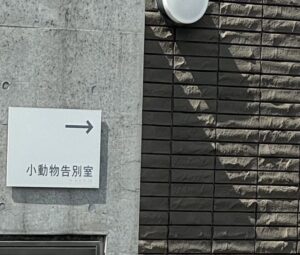 愛犬逝く(2)