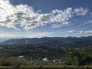 ぶどう狩りに行ってきました。